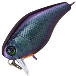 Воблер Jackall Chubby 41 SSR ul bug Воблер Jackall Chubby 41 SSR ul bug