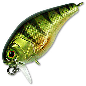 Воблер Jackall Chubby 38 SSR ghost g perch 