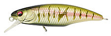 MK-MB-GHW48F-SSm-0.jpg Воблер Megabass Great Hunting Minnow 48F (Secret Smelt)