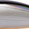RS-AN49SP-101-0.jpg RS-AN49SP-101-0.jpg