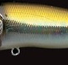 MK-MB-POPMAX-MH-1.jpg
