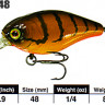 hpoto_cherry48.jpg