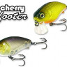 Cherry 0 Footer2.jpg