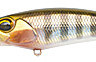 Realis Shad 59 SR_0003_D-58.jpg Realis Shad 59 SR_0003_D-58.jpg