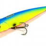Fishycat Tomcat 80SP SR-R17.jpg