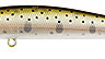 ZBL System Minnow 9F_0014_851R.jpg