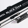 Спиннинг Xesta Black Star 2nd Generation Спиннинг Xesta Black Star 2nd Generation