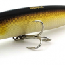 Воблер Fishycat Tigercub 205F / R03