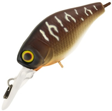 Воблер Jackall Chubby 41 MR bug tiger