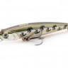 FISHYCAT BOBCAT 100SP X06_300x300.jpg