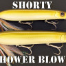 MI-ShowerBlows#90-4.jpg MI-ShowerBlows#90-4.jpg