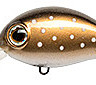 Hickory 34F SR_0002_029R.jpg