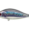 Воблер Pontoon21 Bet-A-Shad SR #R55