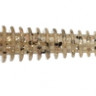MI-SwingImpact3_321-0.jpg