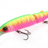 Tiny Magallon dragon fruit mat tiger3 мр.jpg Tiny Magallon dragon fruit mat tiger3 мр.jpg