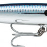 CDMAG11-SB_0.jpg