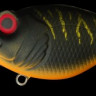 MK-MB-SRXgr-ShibT-1.jpg