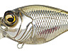 MK-MB-SRXgr-SSW-0.jpg MK-MB-SRXgr-SSW-0.jpg